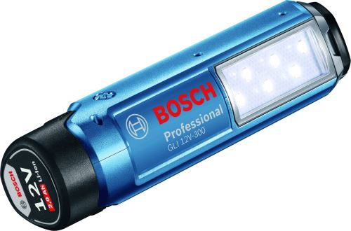 BOSCH Baterie GLI 12V-300 Professional 06014A1000