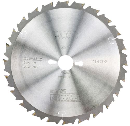 Pânză de ferăstrău cu braț radial DeWALT, FT/DL 10°, 250 x 30 mm, 24 dinți DT4202